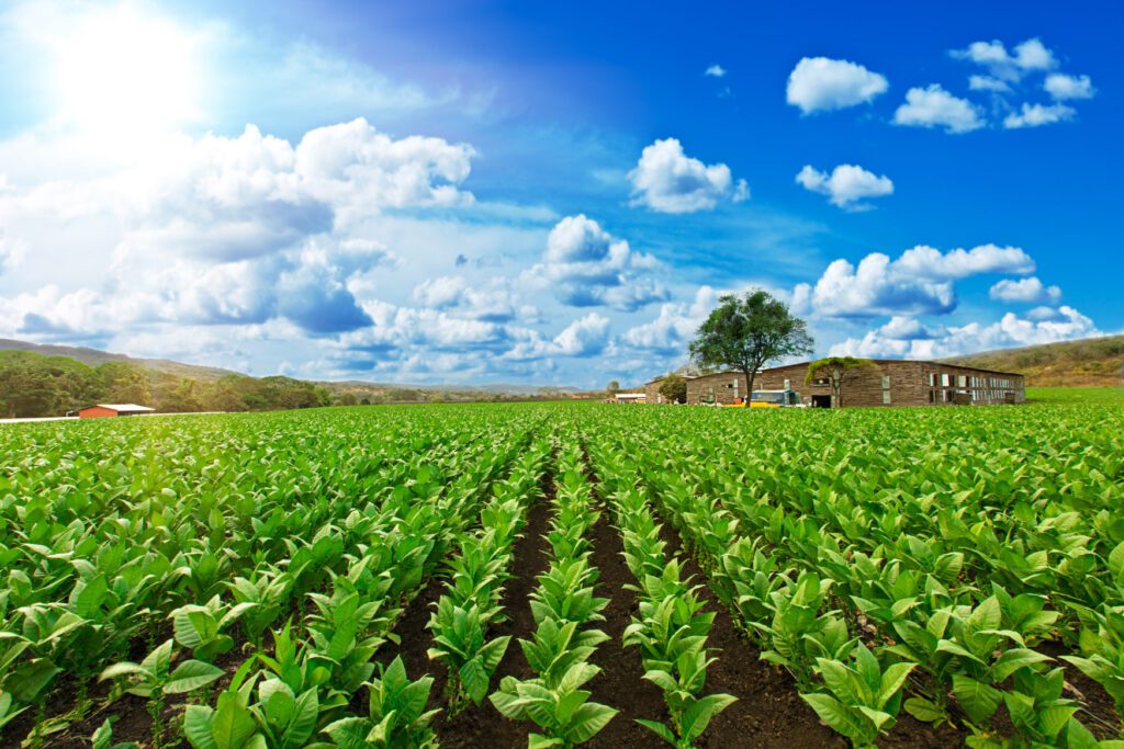 perdomo farm banner