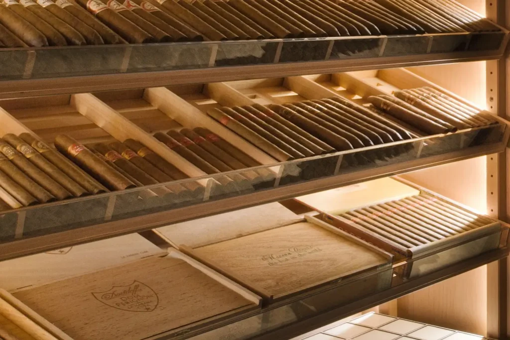 Humidors Review products