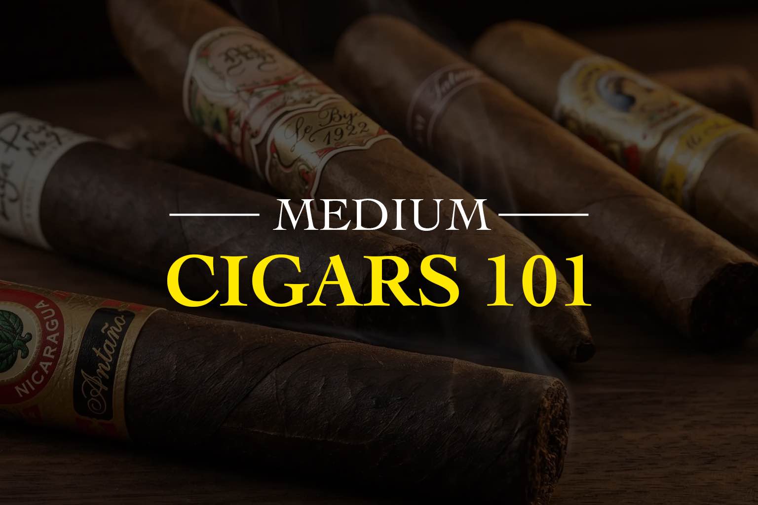 medium cigar 101 banner